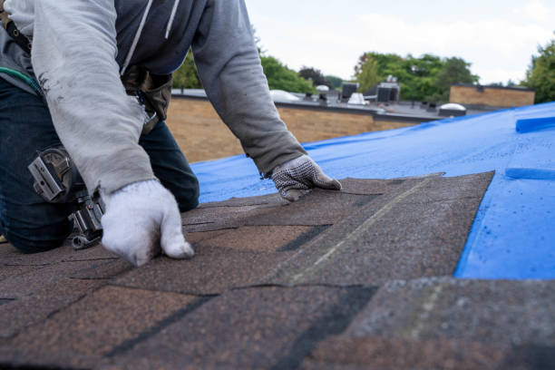 Best 4 Ply Roofing  in Evadale, TX